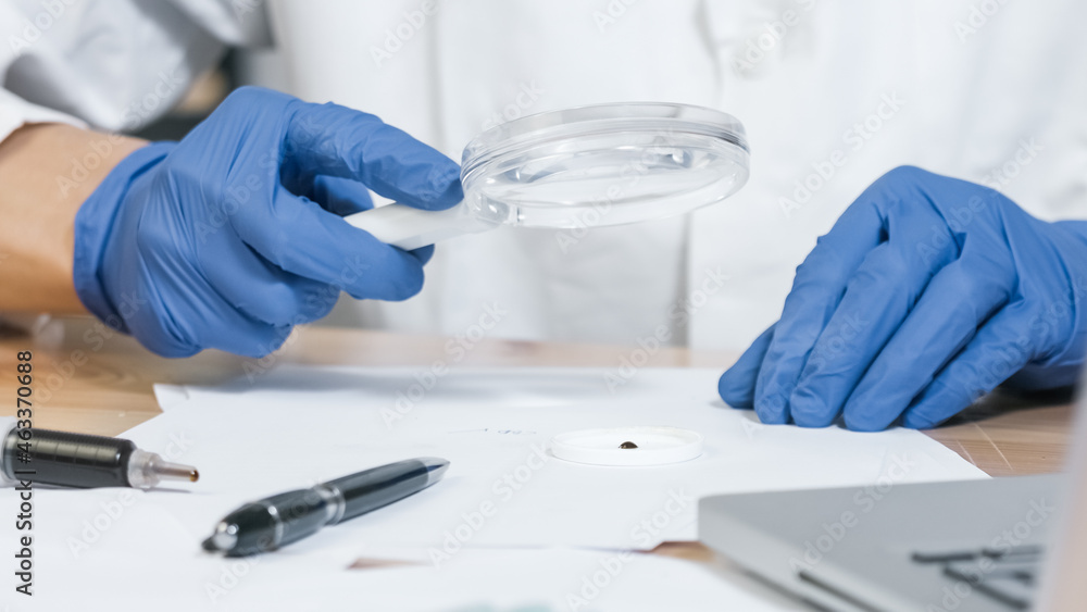Doctor examining Cbd Cannabidiol Hemp paste in a laboratory. Closeup, 4k resolution Doctor examining Cbd Cannabidiol Hemp paste in a laboratory. Closeup, 4k resolution