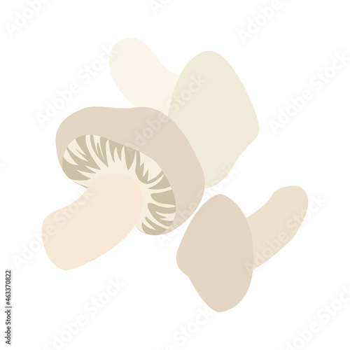 mouthwatering fresh mushroom vector graphic illustration vector illustration