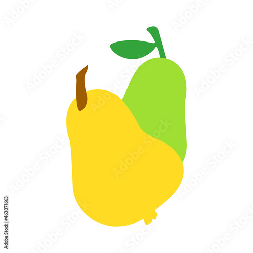 two pears vector illustration design