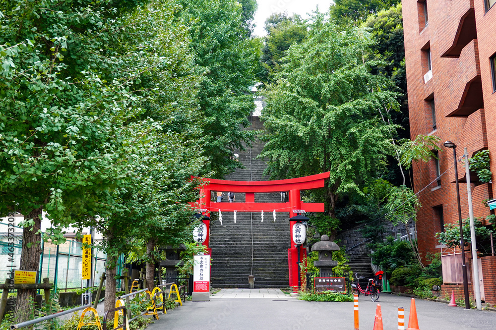 Fototapeta premium 愛宕神社 出世の石段・男坂(東京都港区)