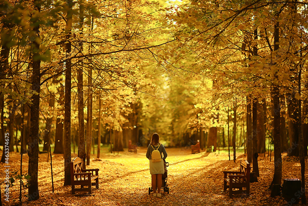 mom with a stroller in the autumn park for a walk, landscape autumn view october alley yellow park