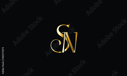 
Abstract Letter Initial SN NS LUXURY Vector Logo Design Template