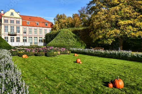 pumpkins and flowers in a beautiful garden, Oliwa Park in Gdansk, Poland  photo