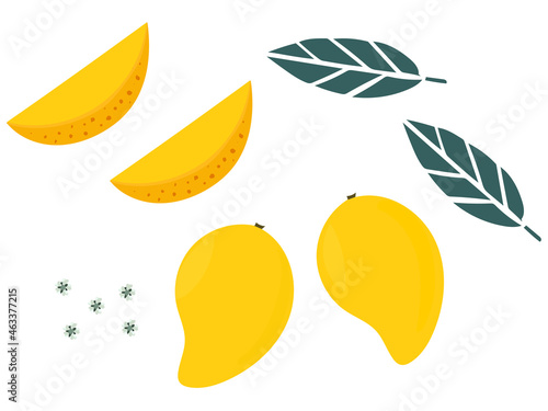 tropical mango yellow mango golden mango leaf mango flower draw fruit mango slice mango piece flying  photo