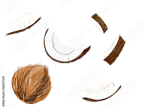 coconut fruit vector coconut flying coconut pieces flakes white tropical isolated 