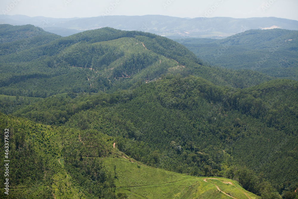 Aerial view of green forest. High quality photo