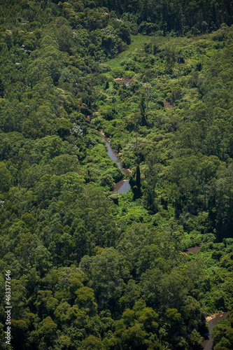 Aerial view of green forest. High quality photo