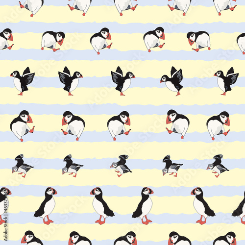 Vector yellow background ocean seabird, arctic birds, puffins. Seamless pattern background