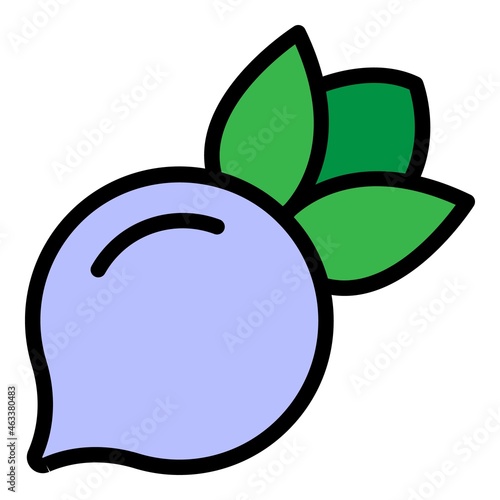 Sugar beet icon. Outline sugar beet vector icon color flat isolated