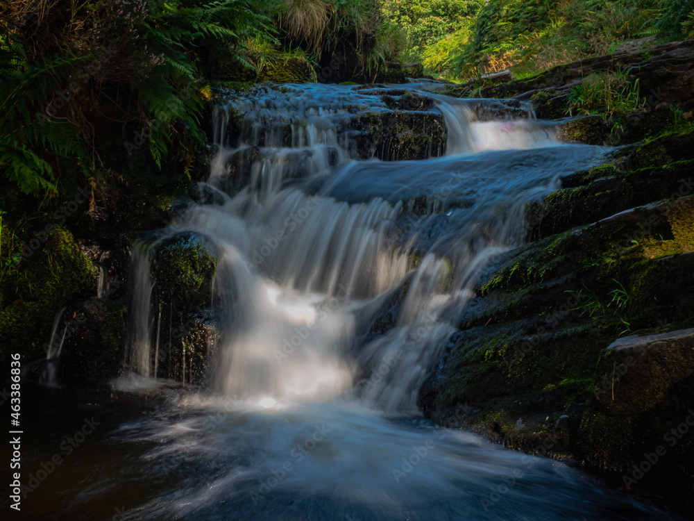 Fototapeta premium waterfall in the forest