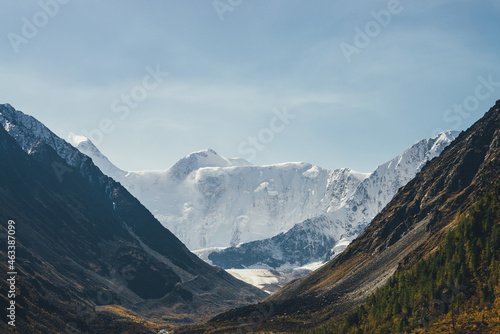 Scenic autumn landscape with sunlit high snow-covered mountain wall and glacier in mountain valley among rocks and coniferous forest on mountainside. Great snow mountains and larches trees in sunlight