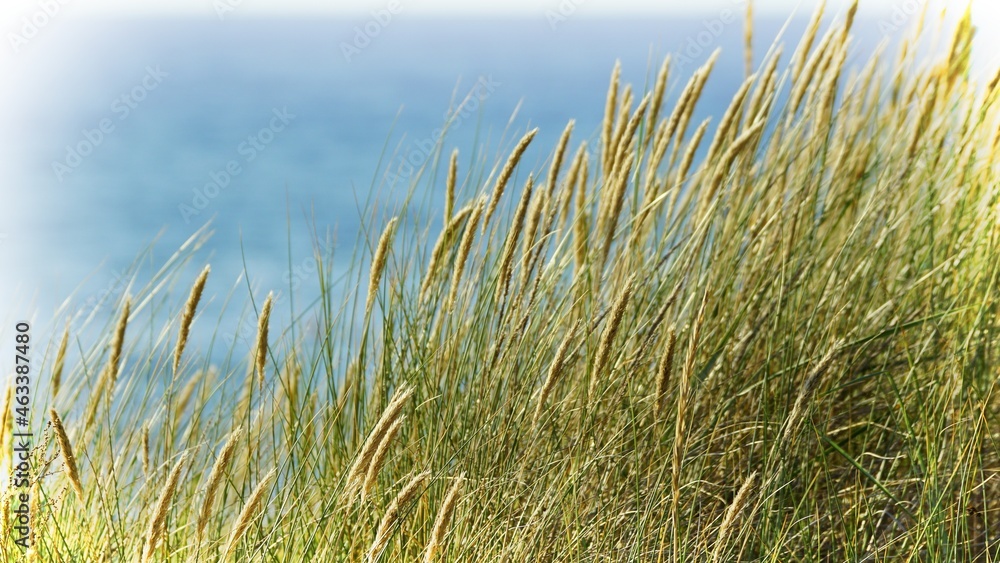 Wellness Urlaub: Wellness Urlaub: