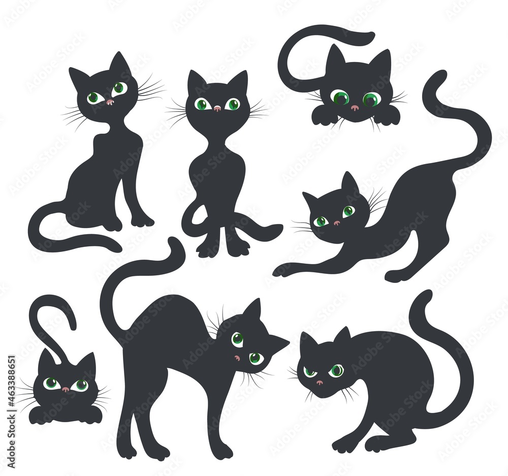 Curiosity kitten silhouettes Curiosity kitten silhouettes