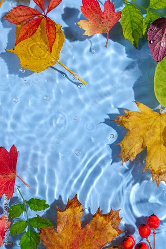 Water ripple with autnm leaves. Trendy  background with Copy space. photo