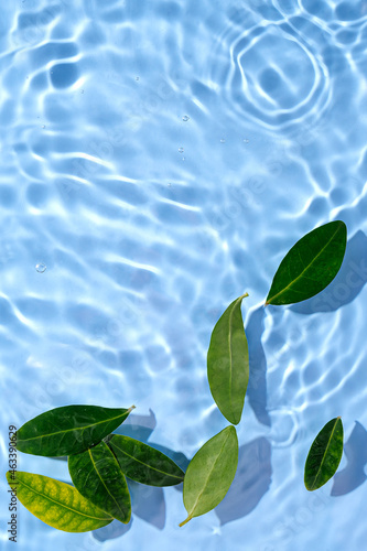 Water ripple with green leaves. Trendy blue background for cosmetic product presentation. Artistic concept. Copy space