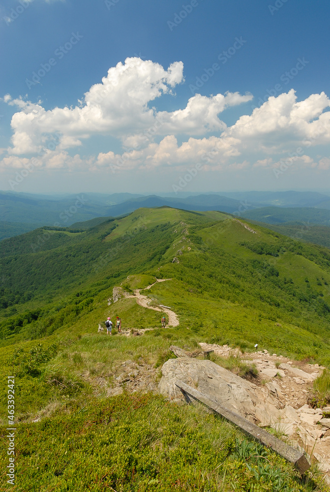 Fototapeta premium Mountain trail among green hills, Bieszczady Mountains, Poland