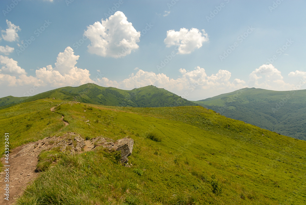 Fototapeta premium Green mountain hills, Bieszczady Mountains, Poland