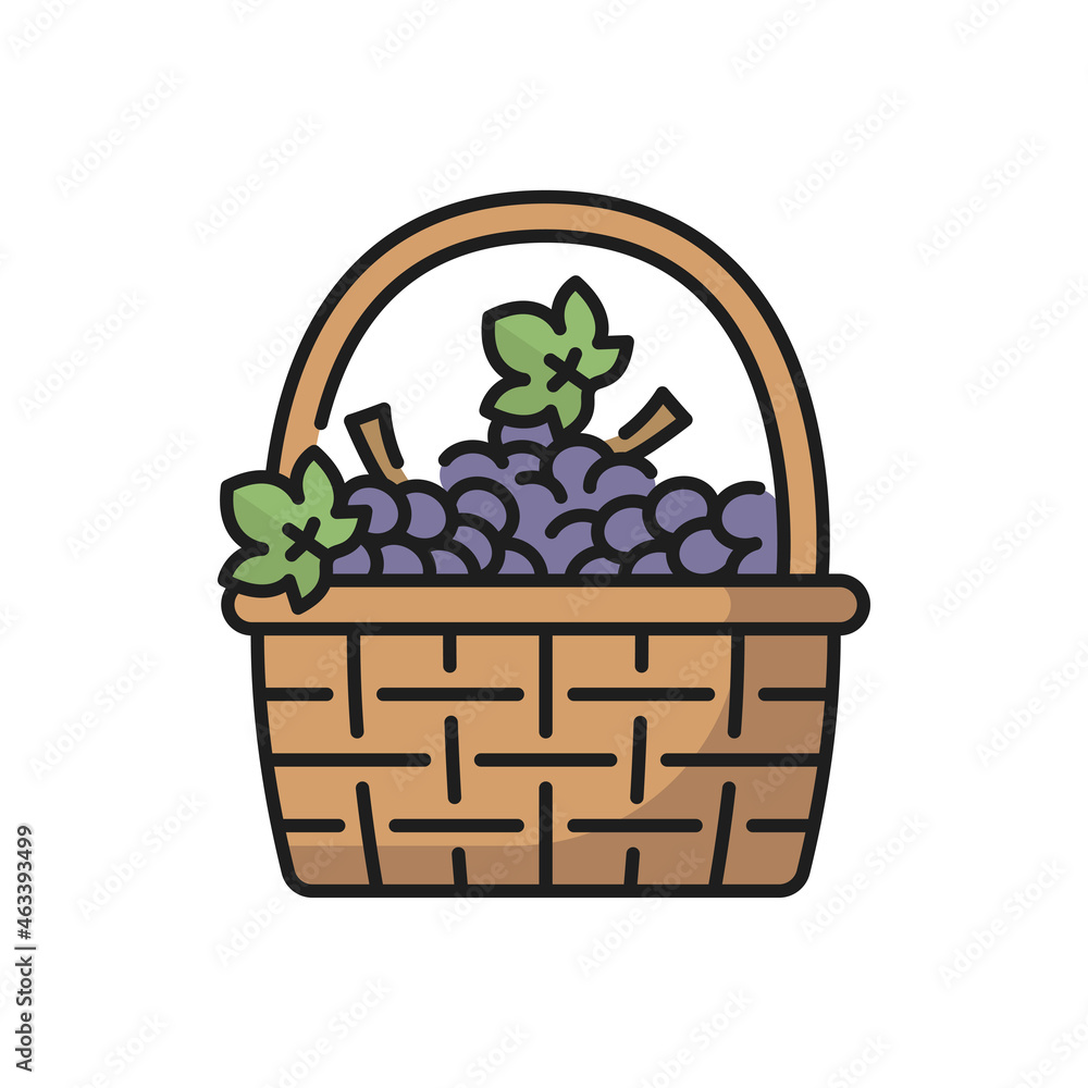 Basket of purple grapes isolated line icon. Vector vintage basket with bunches of isabella grapes with green leaves, summer fruits, symbol of Portugal. Wicker basket with ripe berries wine ingredients Basket of purple grapes isolated line icon. Vector vintage basket with bunches of isabella grapes with green leaves, summer fruits, symbol of Portugal. Wicker basket with ripe berries wine ingredients