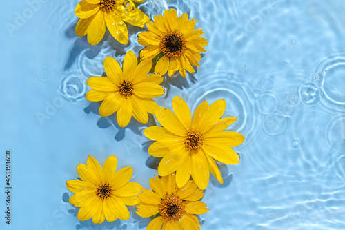 Water ripple with yellow  flowers. Trendy  background for cosmetic product presentation. Artistic concept. Copy space