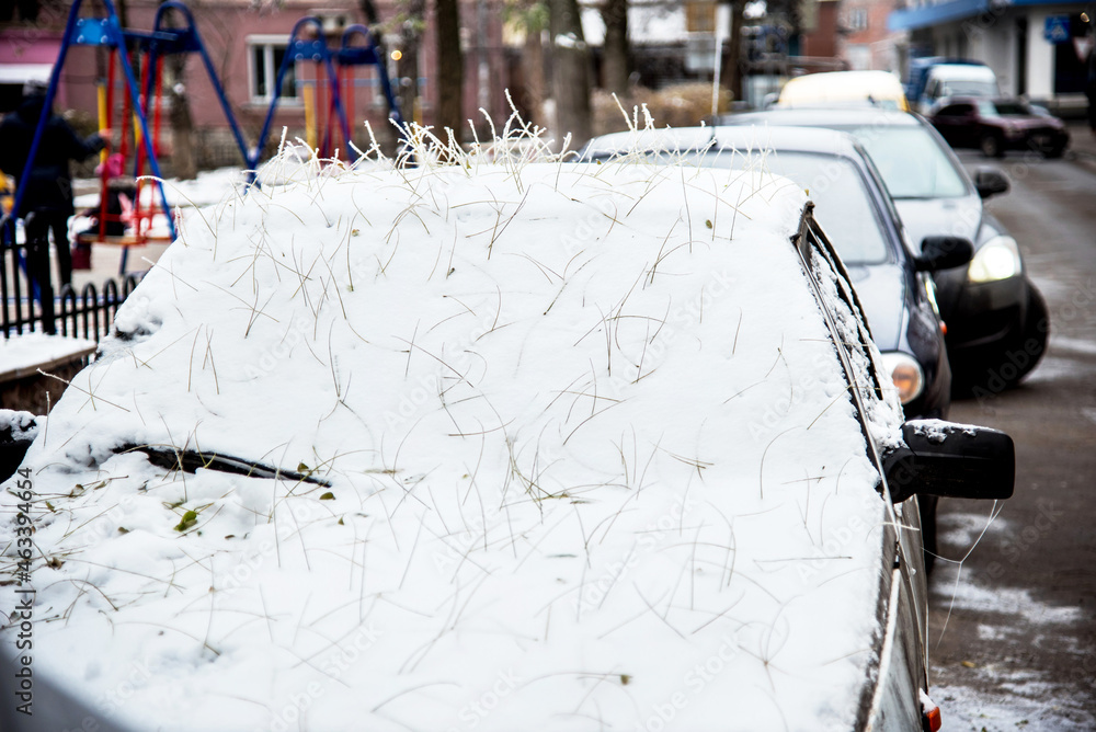 The car is covered with snow and a mysterious hairstyle from the hairdresser's nature from the roots of fallen leaves