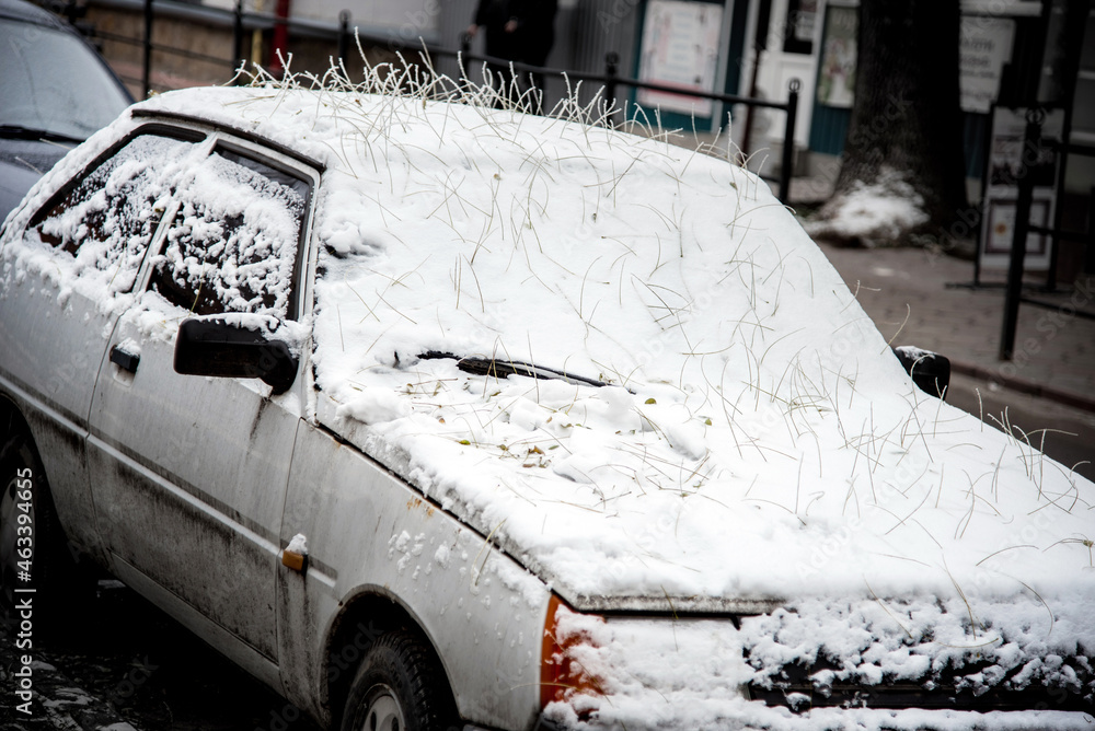 The car is covered with snow and a mysterious hairstyle from the hairdresser's nature from the roots of fallen leaves