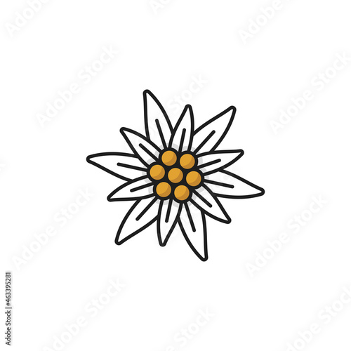 Alps edelweiss flower isolated meadow blossom line icon. Vector wildflower growing in mountains, national floral decoration. Symbol of alpinism, Switzerland alps, Swiss and German Bavarian bud