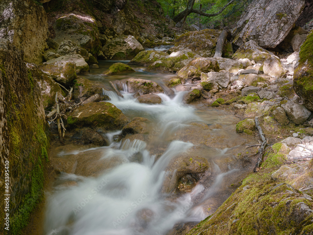small river deep in the green woods. wonderful springtime scenery of mountains countryside. clear water among forest and rocky shore. wooden fence on the river bank. small river deep in the green woods. wonderful springtime scenery of mountains countryside. clear water among forest and rocky shore. wooden fence on the river bank.