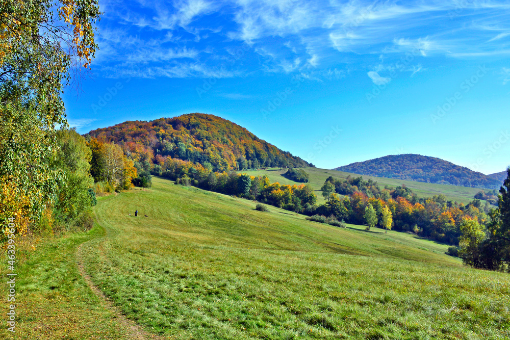 Autumn mountains landscape. Trees on a slope with dry grass and wooded mountains under blue sky with white clouds, Low Beskid (Beskid Niski) Autumn mountains landscape. Trees on a slope with dry grass and wooded mountains under blue sky with white clouds, Low Beskid (Beskid Niski)