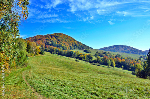 Autumn mountains landscape. Trees on a slope with dry grass and wooded mountains under blue sky with white clouds, Low Beskid (Beskid Niski)