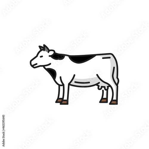 Cow livestock animal isolated spotted beef bovnie isolated flat line icon. Vector beef or veal meat cattle, dairy milk products source, heifer spotted animal with small horns, ranch farm calf portrait