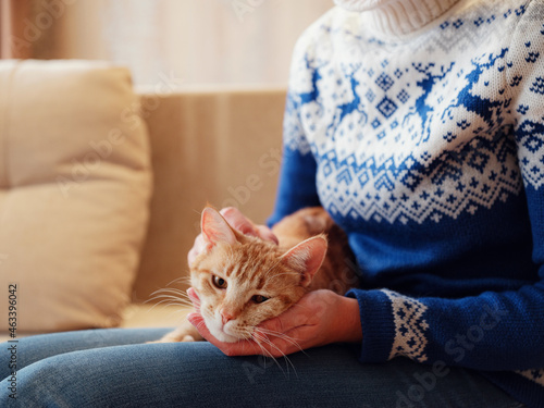 woman in warm blue winter sweater holds ginger cat in her arms. concept of cozy and warmth in cold season at home, Animals and lifestyle.