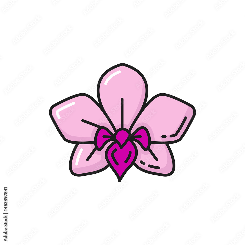 Pink orchid flower national plant of Thailand isolated color line icon. Vector Thai national flower, botanical decoration exotic plant blossom. Blooming jasmine floral design element, cassia fistula Pink orchid flower national plant of Thailand isolated color line icon. Vector Thai national flower, botanical decoration exotic plant blossom. Blooming jasmine floral design element, cassia fistula