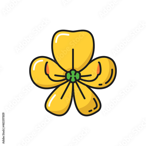 Golden shower flower Cassia Fistula isolated yellow color line icon. Vector Thai blossom, gold- shower flower, botanical decoration, plant. Asian ratchaphruek natural spring or summer floral element photo