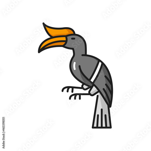 Knobbed hornbill isolated exotic Thailand bird color line icon. Vector knobbed Sulawesi wrinkled hornbill. Tropical feathered animal with long, down-curved bill and scasque on upper mandible photo