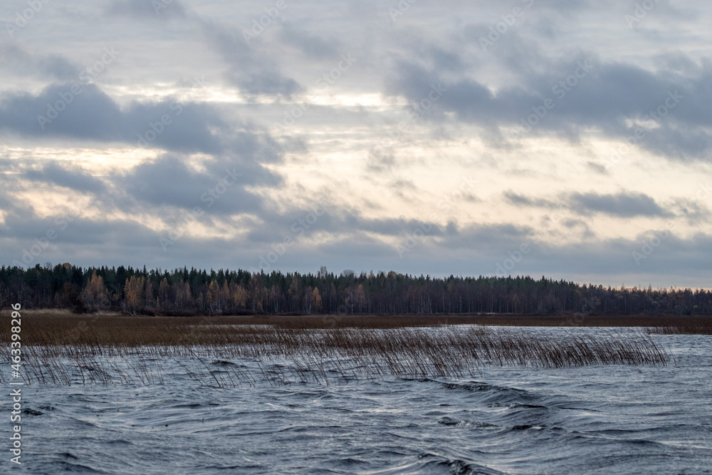 Lake and autumn forest. Autumn fields. Northern nature.