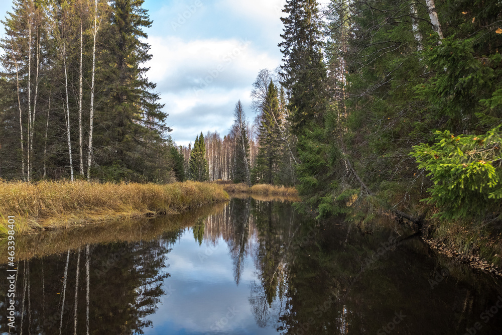 Taiga. River. Autumn. Reflection of trees in the river. Northern river. Northern nature. Taiga. River. Autumn. Reflection of trees in the river. Northern river. Northern nature.