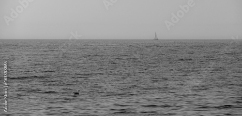 sea black and white photo