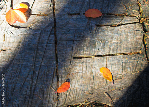 wooden background with orange autumn leaves