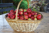 harvest of red apples in a basket