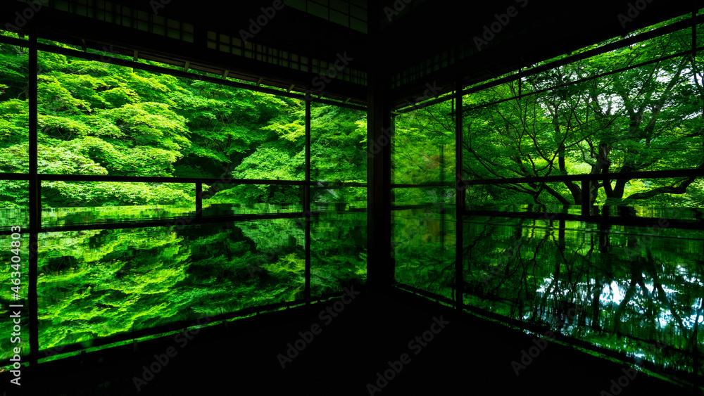 八瀬 瑠璃光院 八瀬 瑠璃光院