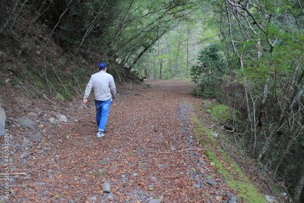 那賀町 南川林道 那賀町 南川林道
