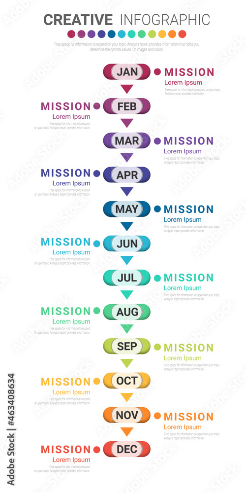 Fototapeta premium Timeline for 1 year, 12 months, infographics all month planner design