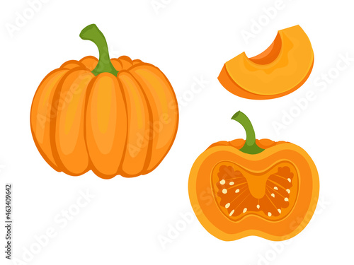 set of pumpkin pumpkins vector Halloween yellow-orange pumpkins slice piece isolate draw
