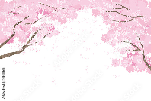 桜の木の背景ベクターイラスト