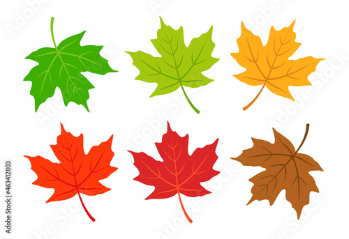 Maple leaf  autumn leaves vector illustration