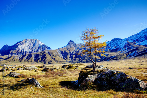 Im Herbst auf der Engstligenalp bei Adelboden