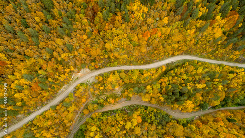 Aerial view of mountain road in beautiful forest at sunset in autumn. Top view from drone of winding road in woods. 