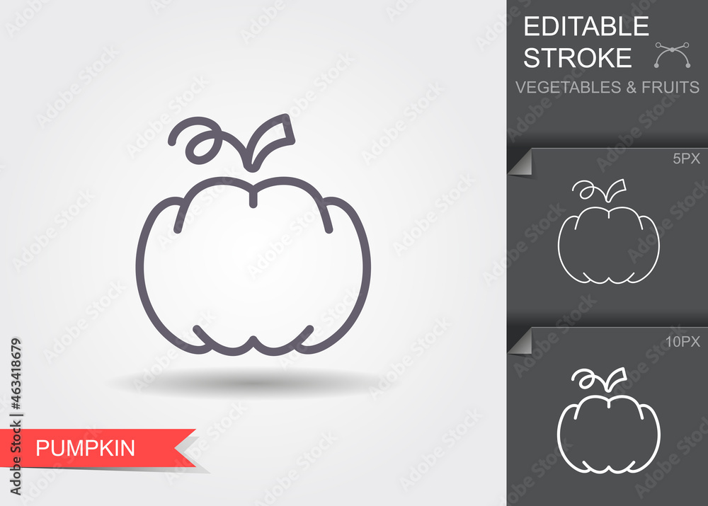 Obraz premium Pumpkin. Line icon with editable stroke with shadow