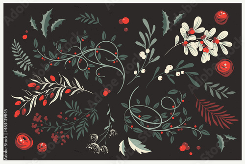 Winter foliage. Whimsical vector collection of Christmas floral arrangements and plants, branches and berries. Decorative botanical elements for holiday and wedding design, greeting cards, invitations