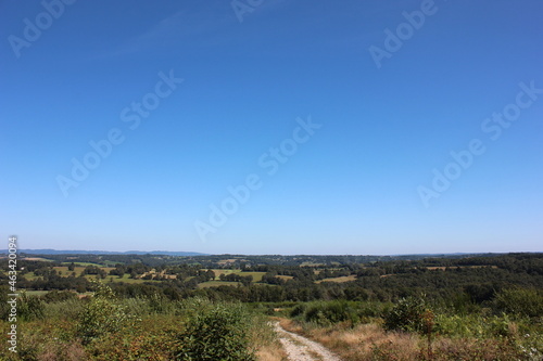 French hilly road through a beautiful green wooded area.